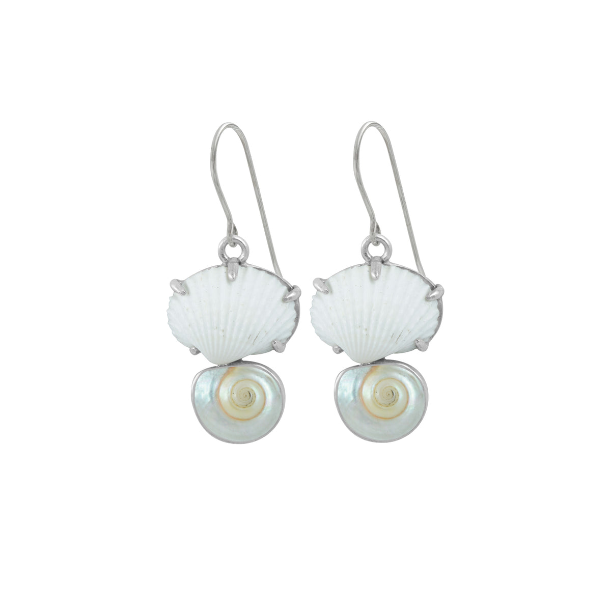 Sterling Silver Earring With Shell White Ark And Shell Malabar Turbos