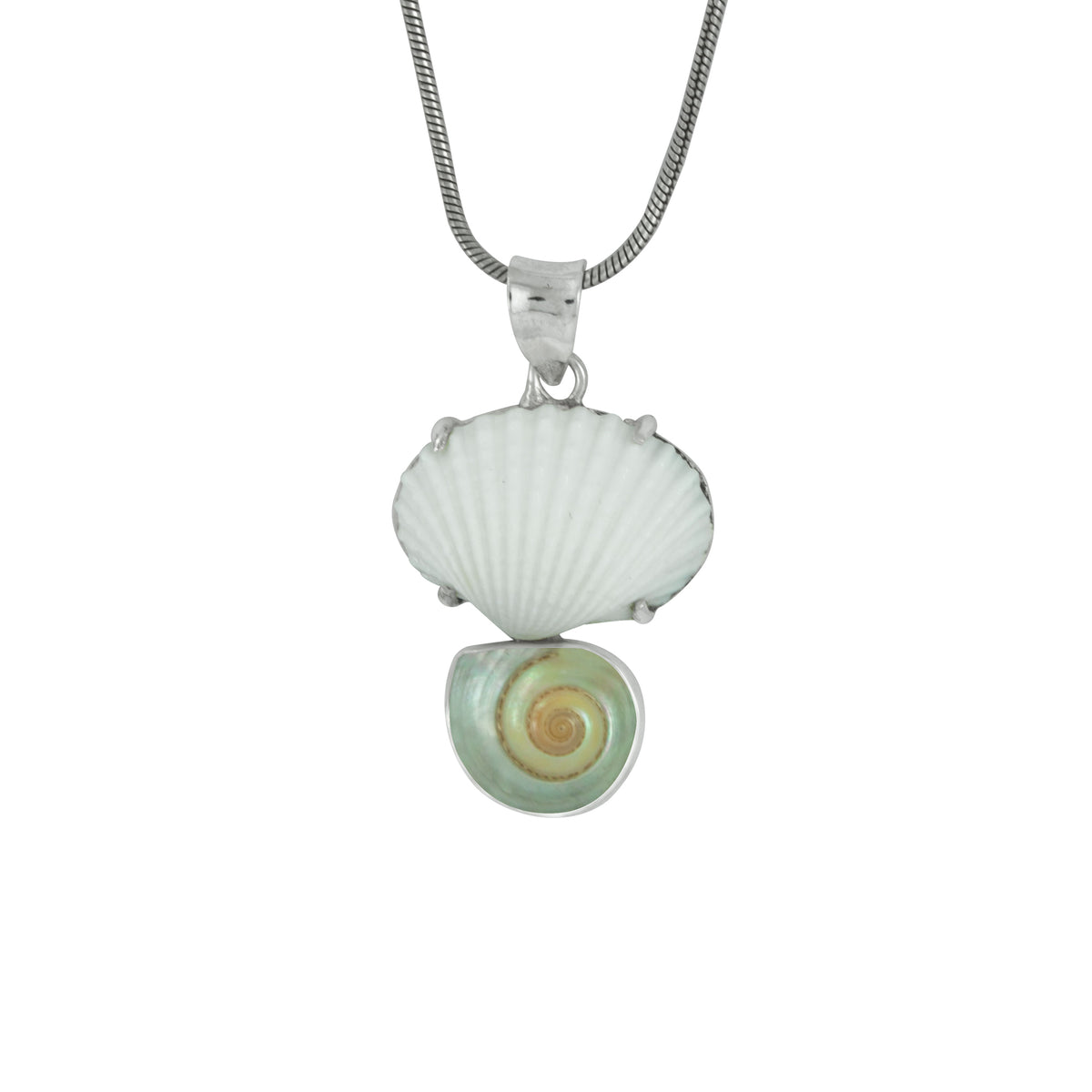 Sterling Silver Pendant With Shell White Ark And Shell Malabar Turbos