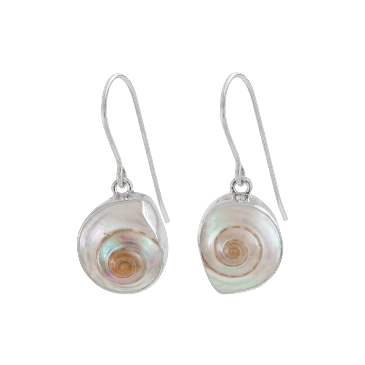 Silver Earring With Shell Malabar Turbos