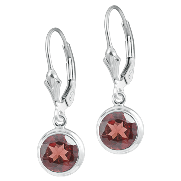 Simple &amp; Eleagant Amber Earring