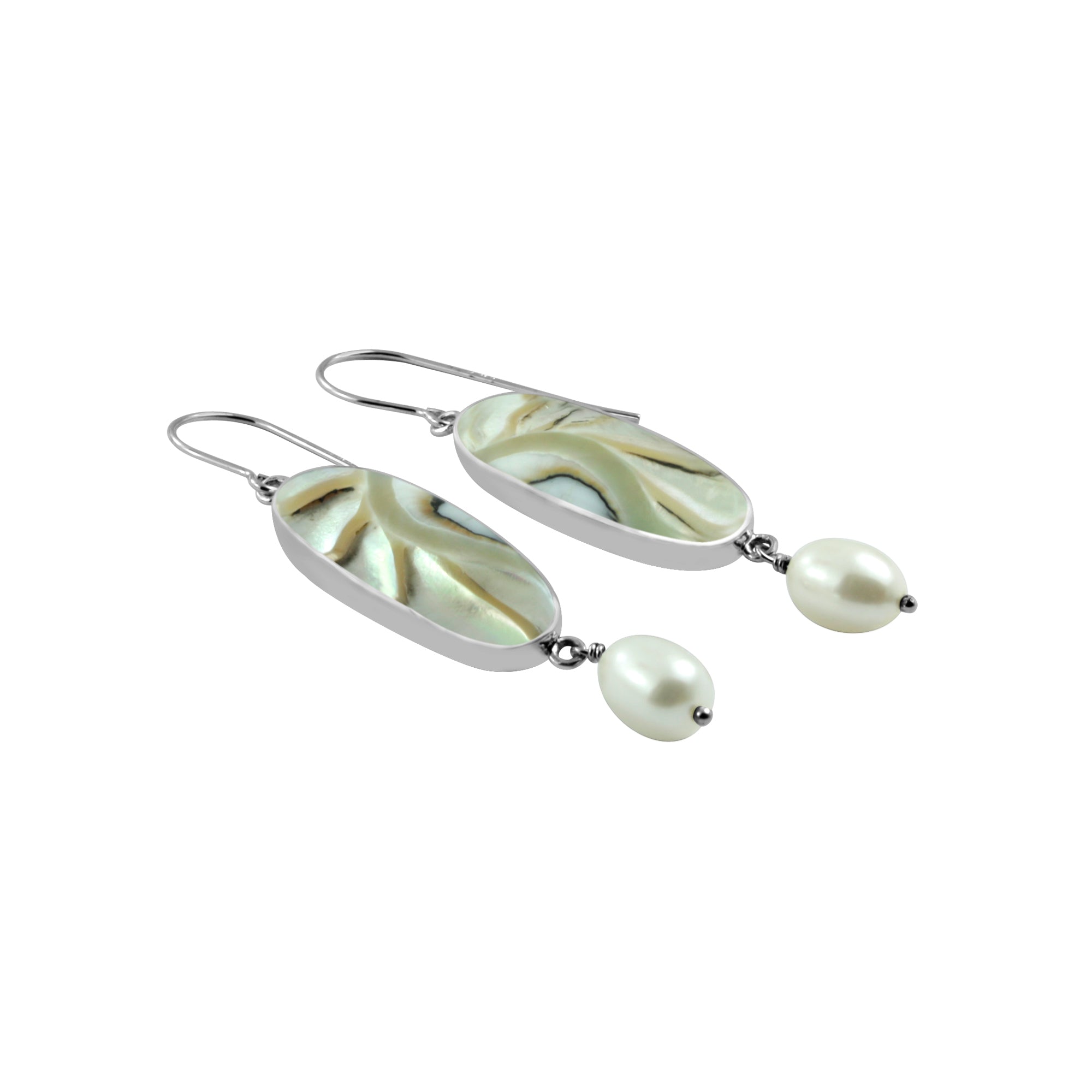 Shimmering Nautilus Shell Pearl Earring