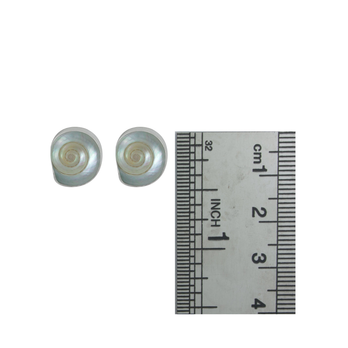 Silver Earring With Shell Malabar Turbos