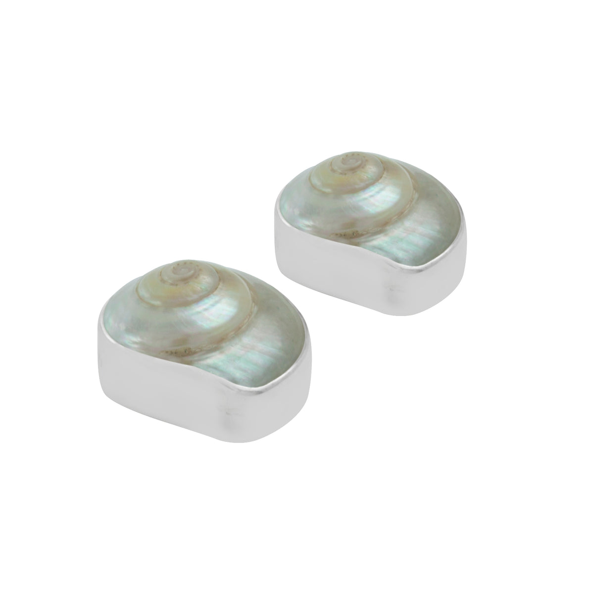 Silver Earring With Shell Malabar Turbos