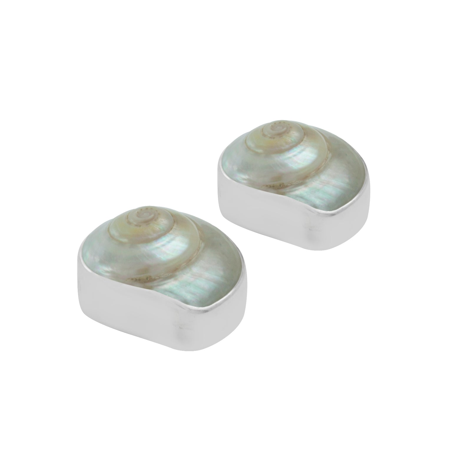 Silver Earring With Shell Malabar Turbos