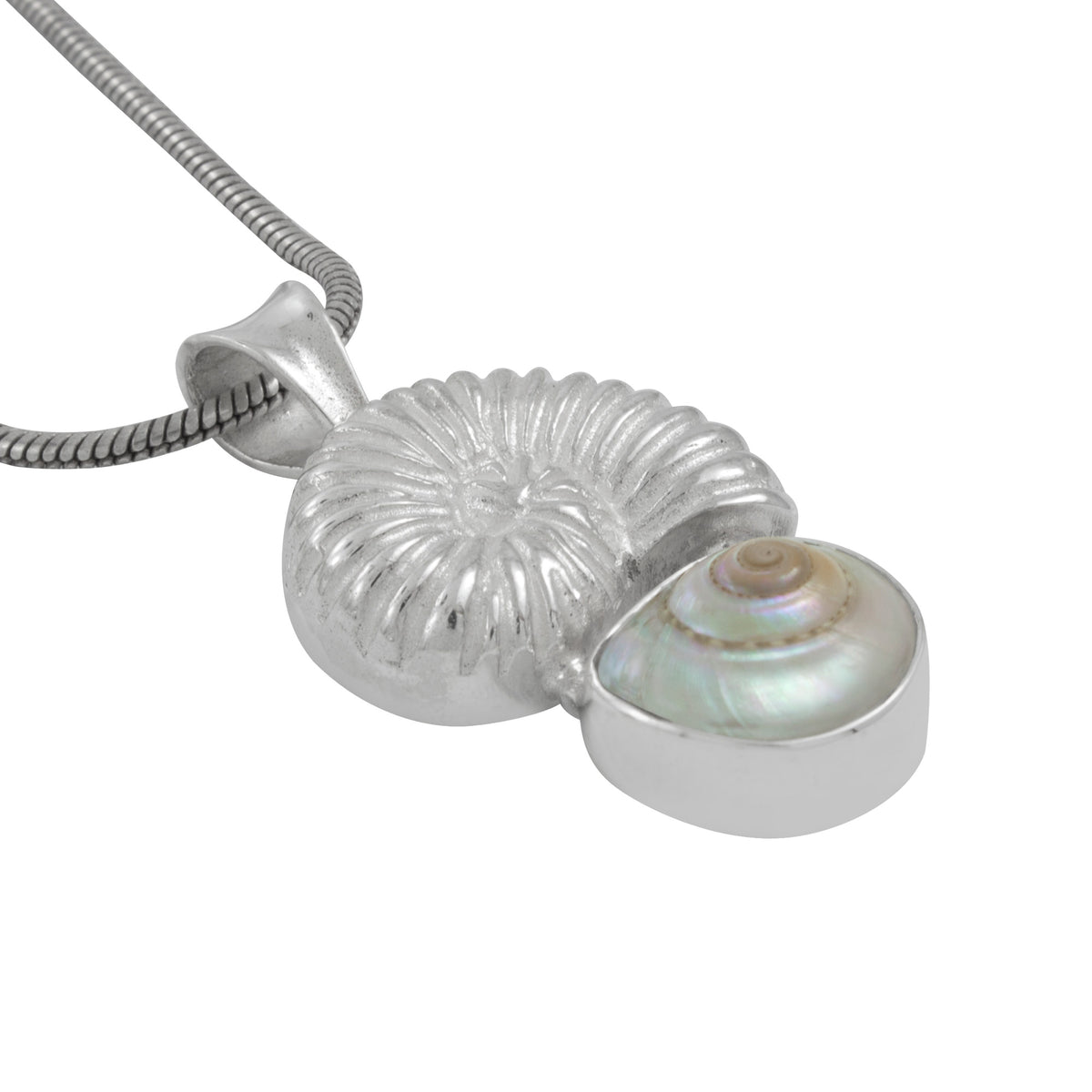 Silver Pendant With Shell Component With Shell Malabar Turbo