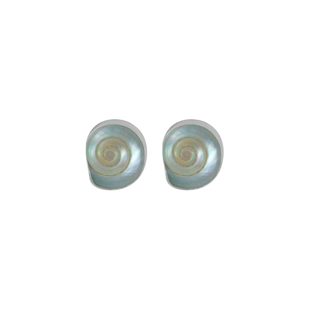 Silver Earring With Shell Malabar Turbos